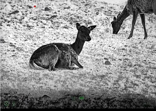 Nitehog VIPER 35 LITE – hőkamera előtét vadászoknak (AI‑val, 2025) - Image 6