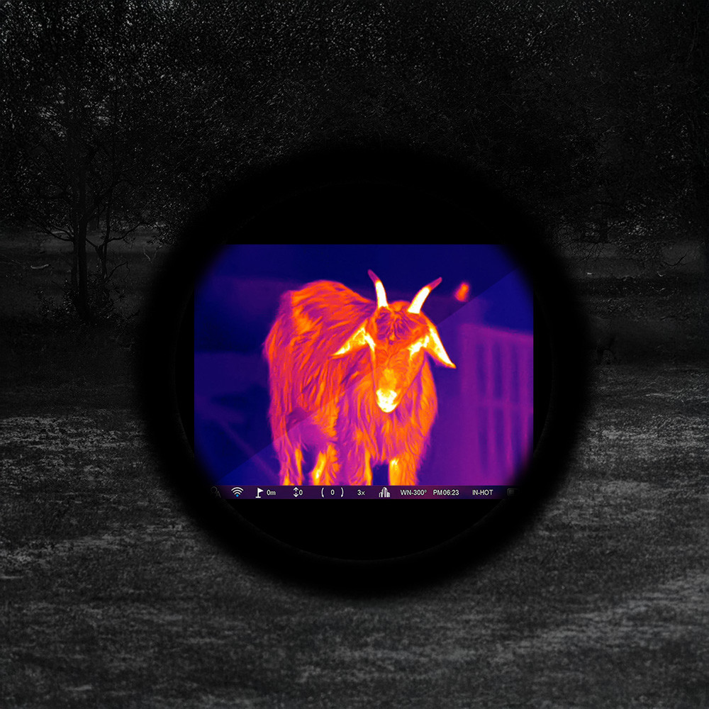 Pard PANTERA 480 Q 50mm LRF - 480-as felbontás, távolságmérő - Image 3