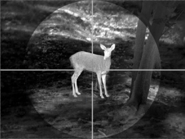 GUIDE TA435 HŐKAMERA ELŐTÉT 35 objektív 400 x felbontás 1024-es kijelző 300 -méterig+ (Lahoux clip) - Image 6