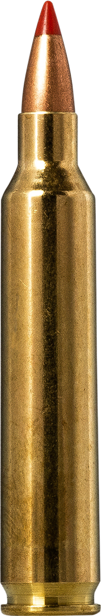 Hornady V-MAX 204 Ruger 2.6g – 20156502 – gyári termékfotó