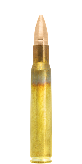 Lapua .30-06 Springfield / 8.0 g (123 gr) FMJ – 4317577