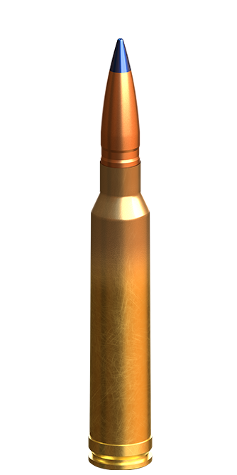 Lapua .300 Win Mag. / 10.7 g (165 gr) TRX – N317205
