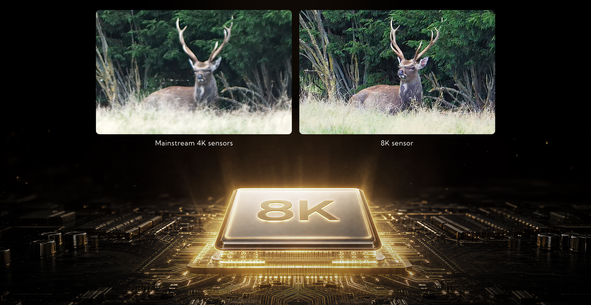 Nocpix OMNI 8K digitális képalkotás – gyári szemléltetés