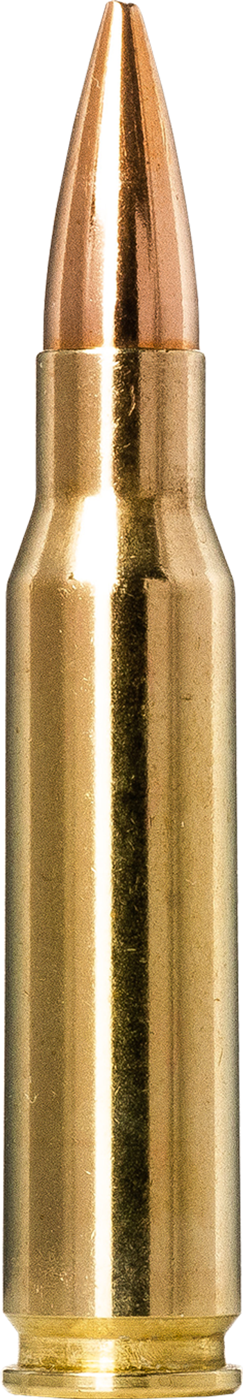 Norma Golden Target .308 Winchester 10.0g picture 1