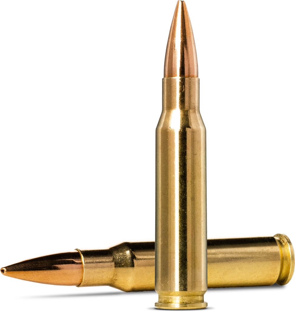 Norma Golden Target .308 Winchester 10.0g picture 2