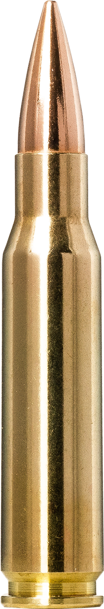Norma Golden Target .308 Winchester 10.9g picture 1