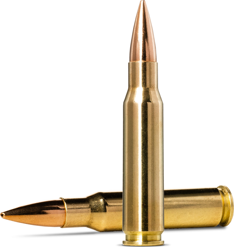 Norma Golden Target .308 Winchester 10.9g picture 2