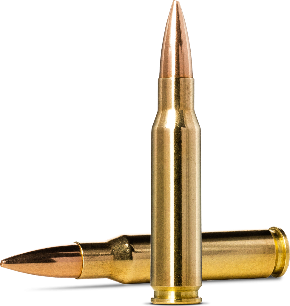 Norma Golden Target .308 Winchester 11.3g picture 2