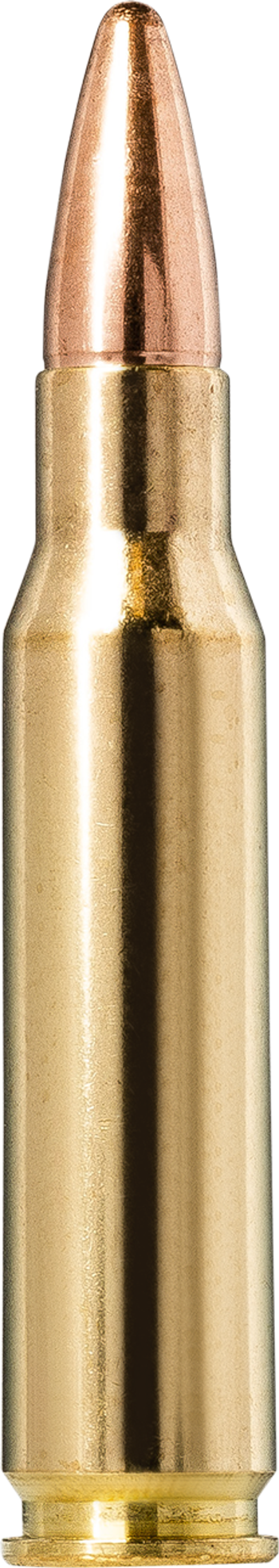 Norma Jaktmatch .308 Winchester 9.7g picture 1