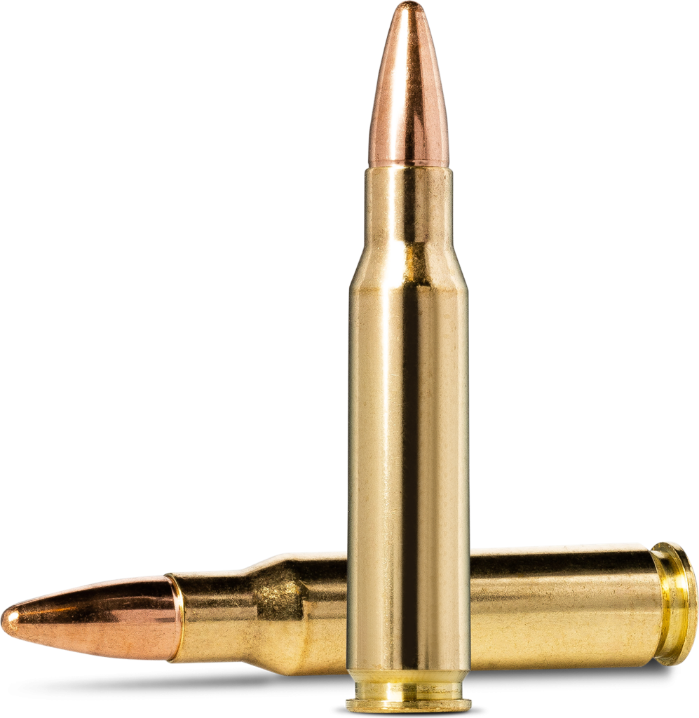 Norma Jaktmatch .308 Winchester 9.7g picture 2