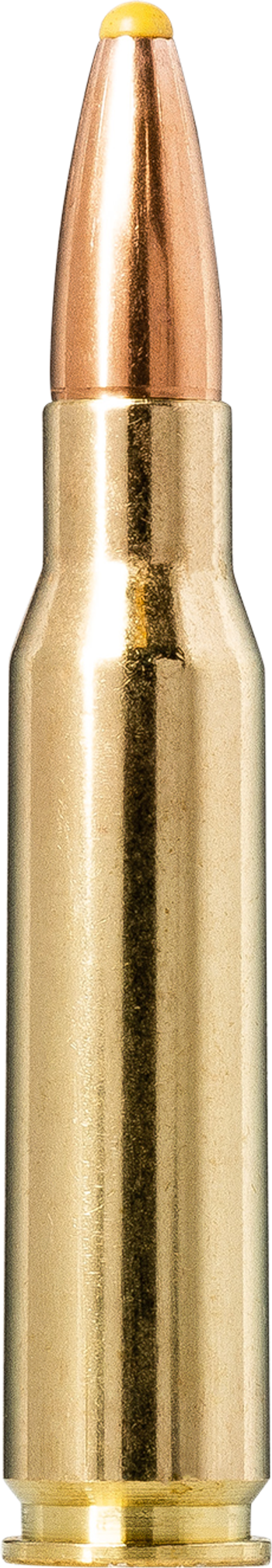 Norma Plastic Point .308 Winchester 11.7g picture 1