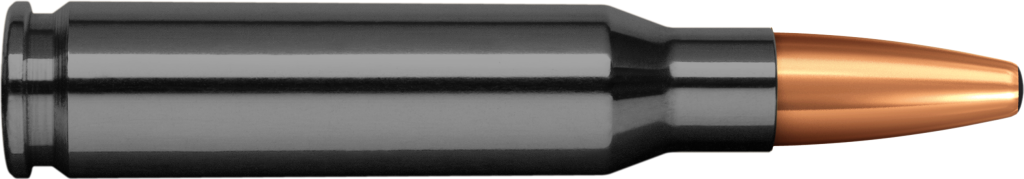 Norma Oryx Silencer 308 Win 10.7 g picture 1