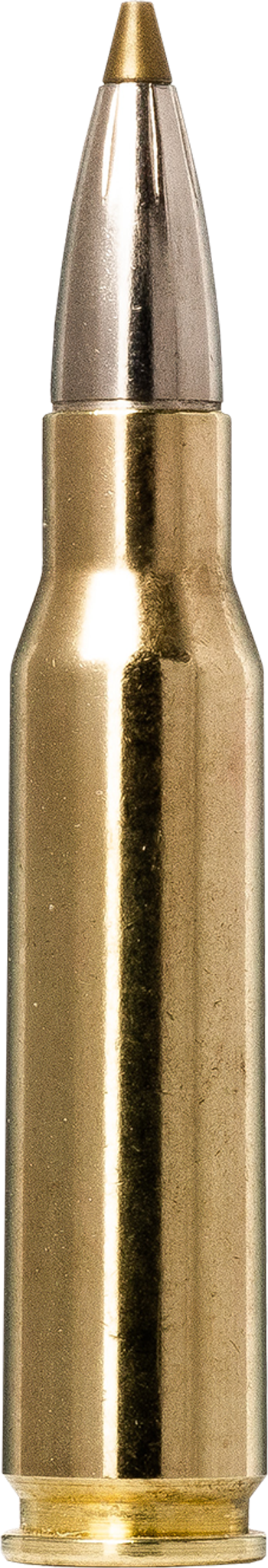 Norma EVOSTRIKE .308 Winchester 9g picture 1