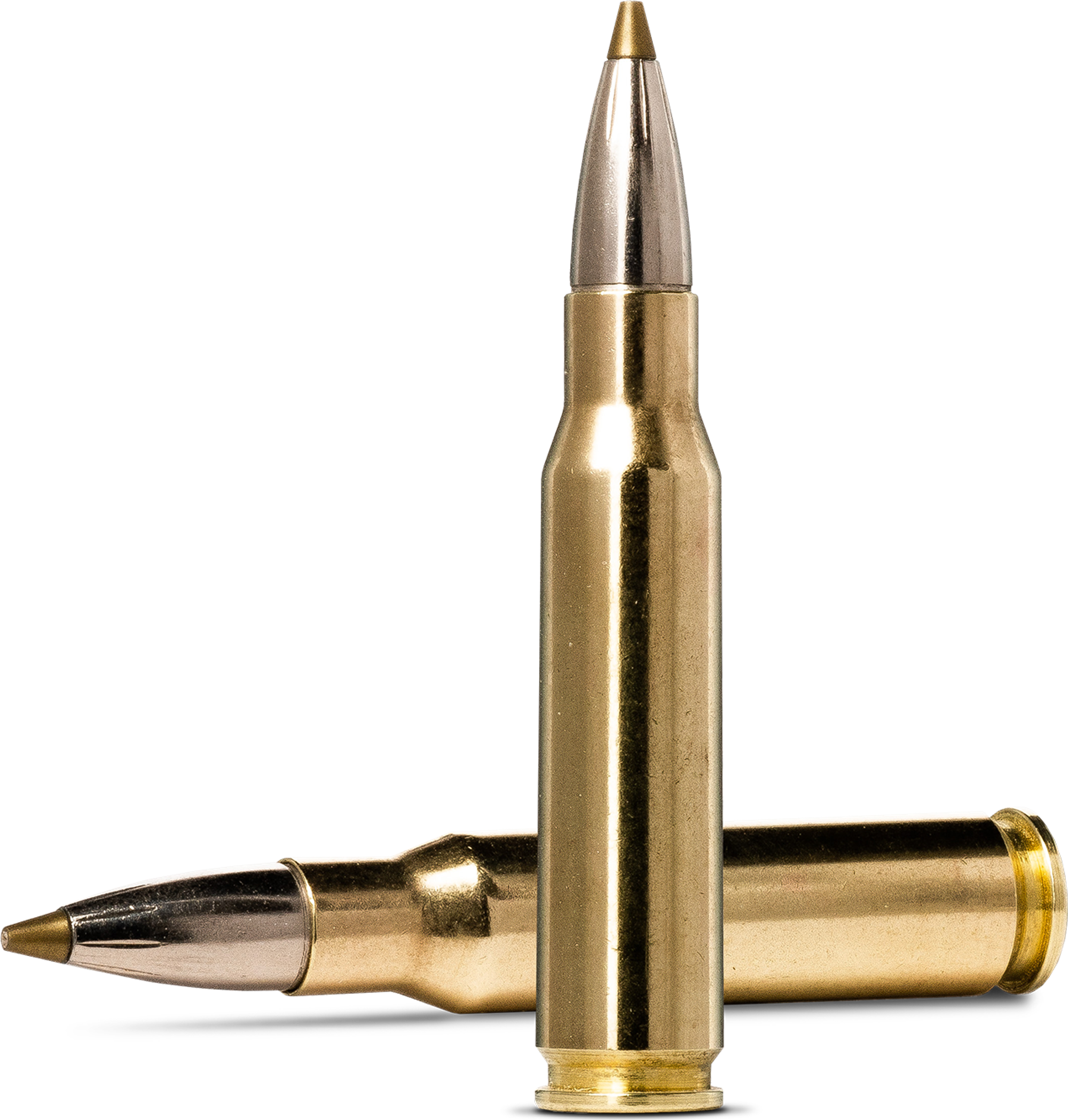 Norma EVOSTRIKE .308 Winchester 9g picture 2