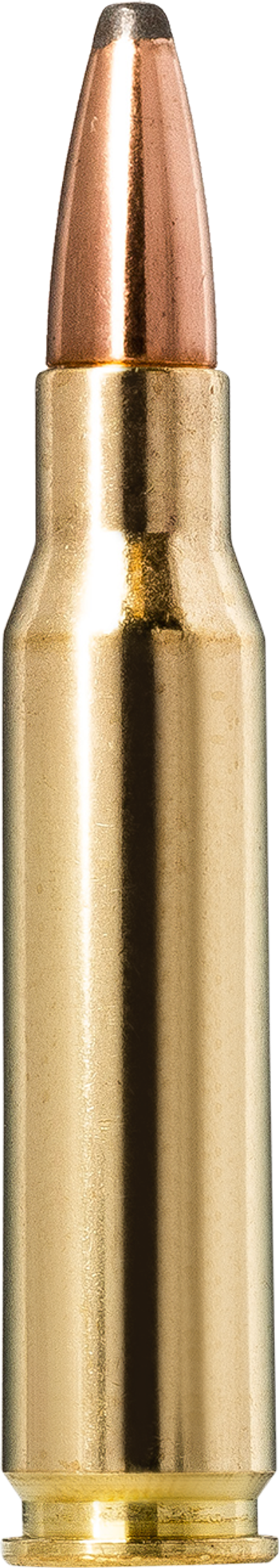 Norma Whitetail .308 Winchester 9,7g picture 1