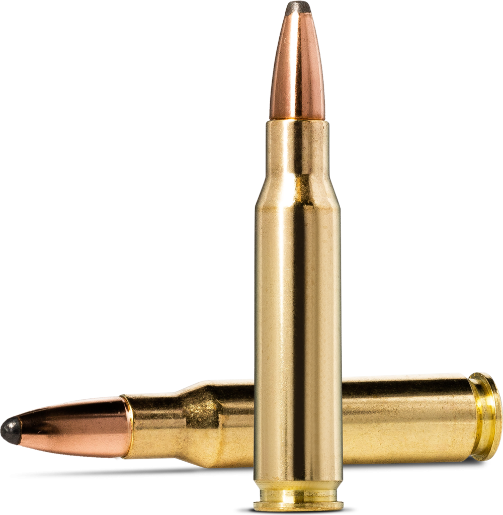 Norma Whitetail .308 Winchester 9,7g picture 2