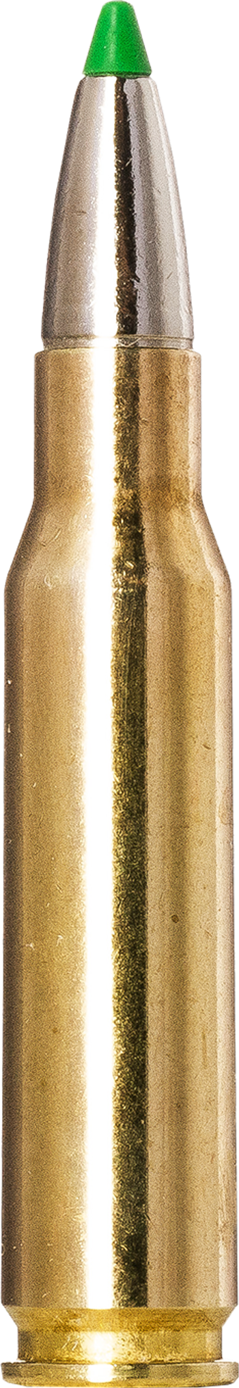 Norma ECOSTRIKE .308 Winchester 10,7g picture 1