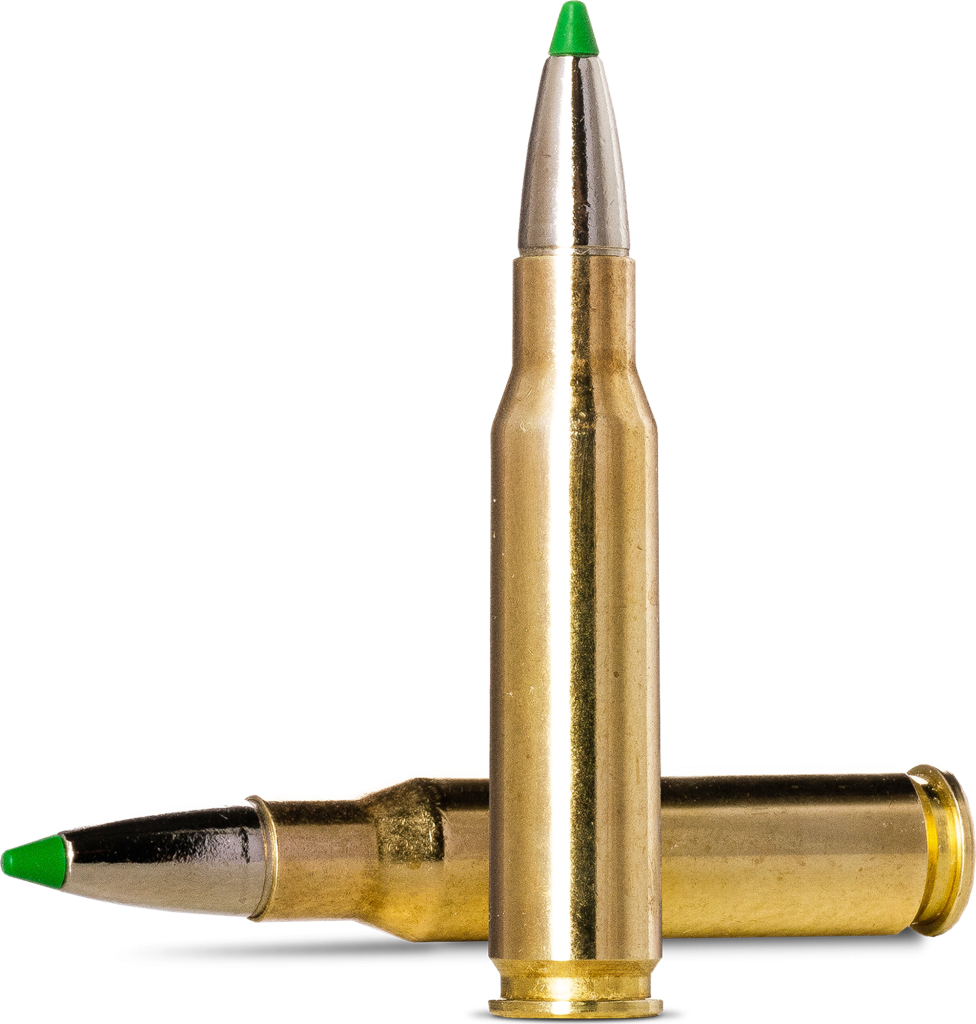 Norma ECOSTRIKE .308 Winchester 10,7g picture 2