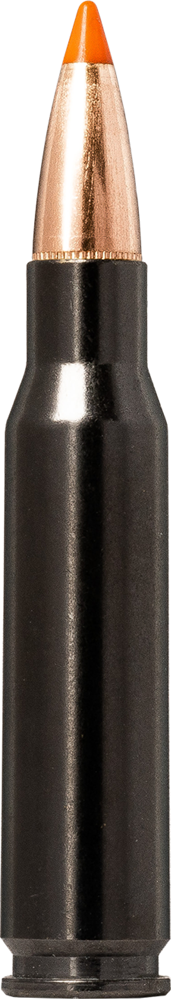 Norma Tipstrike Silencer 308 Win 11 g picture 1