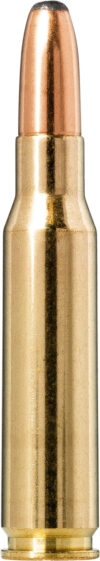 Norma Whitetail .308 Winchester 11.7g picture 1