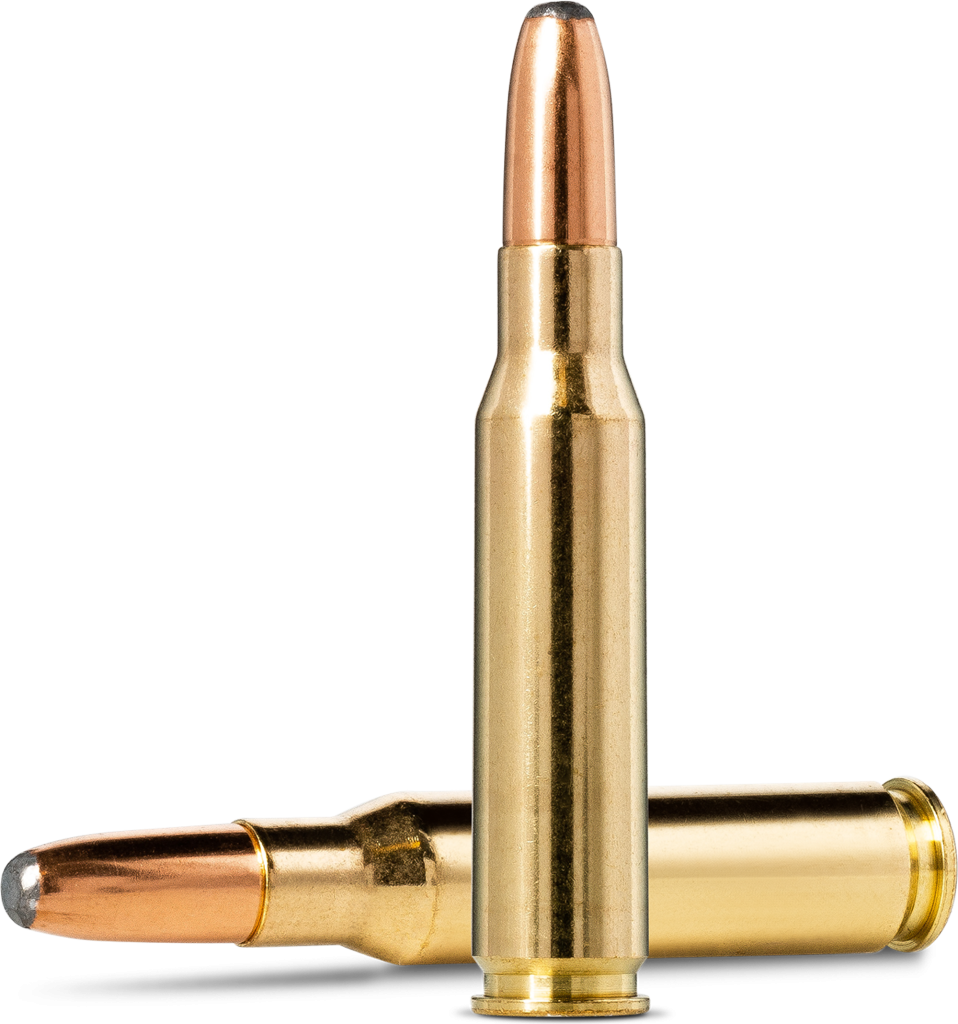 Norma Whitetail .308 Winchester 11.7g picture 2