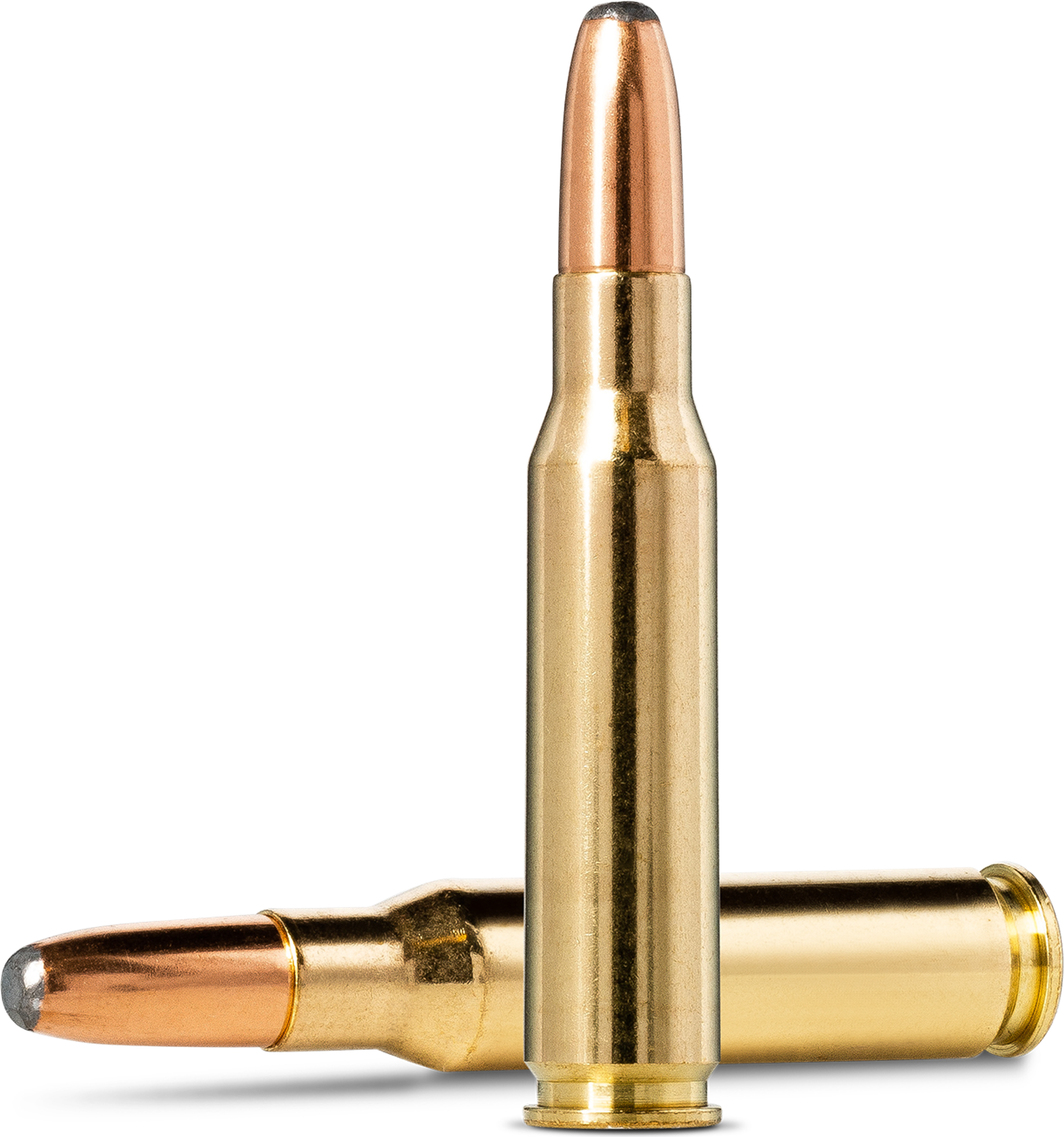 Norma Whitetail .308 Winchester 11,7 g / 180 gr – 20177592