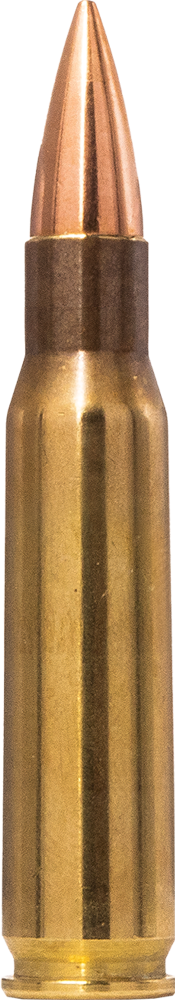 Norma Range & Training .308 Winchester 9,7 g picture 1