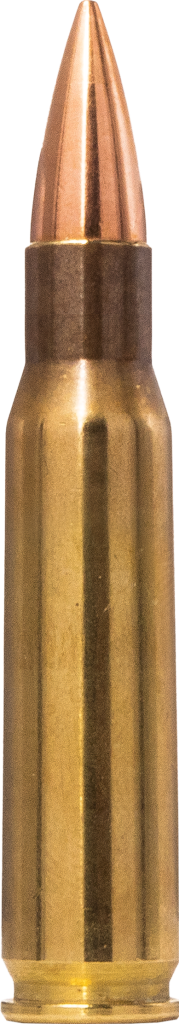 Norma Range & Training .308 Winchester 9,7 g picture 1