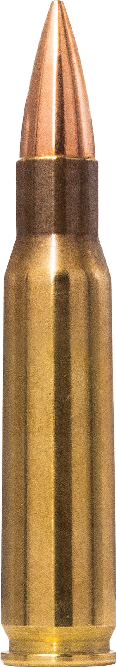 Norma Range & Training .308 Winchester 9,7 g / 150 gr – 20177620