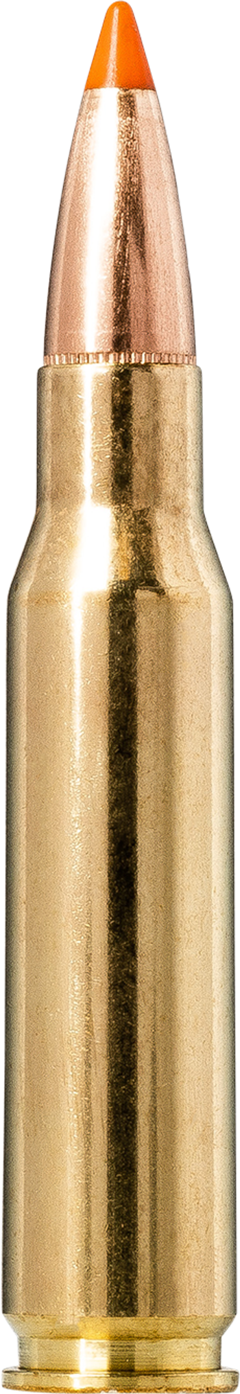 Norma TIPSTRIKE 308 Winchester 9.7g picture 1