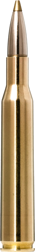 Norma EVOSTRIKE .270 Winchester 6,2g, 270 Win. – gyári termékkép, cikkszám: 20168972