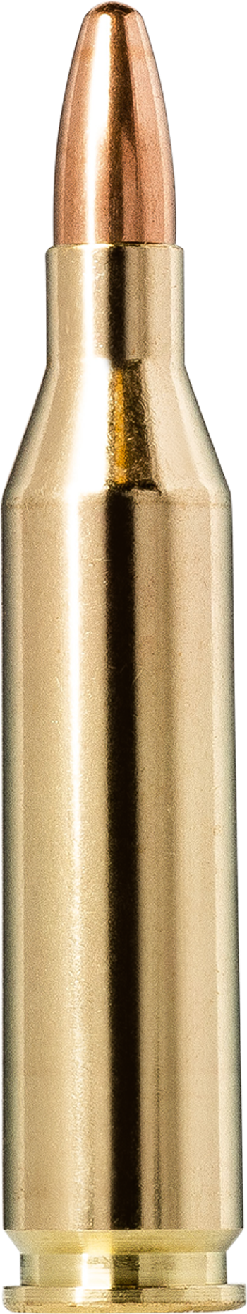 Norma Jaktmatch .243 Winchester 6.2g – 20160370 – gyári termékfotó