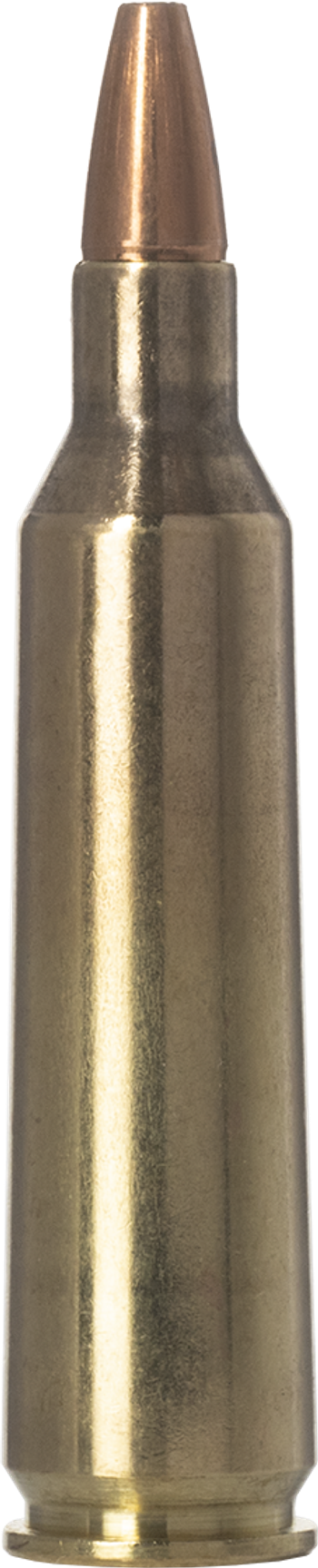 Norma VERMINXTREME 22-250 Remington 3.6g – 20157852 – gyári termékfotó