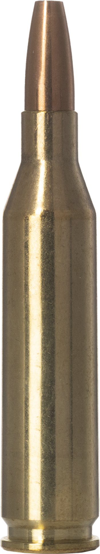 Norma VERMINXTREME 243 Winchester 4.9g – 20160542 – gyári termékfotó