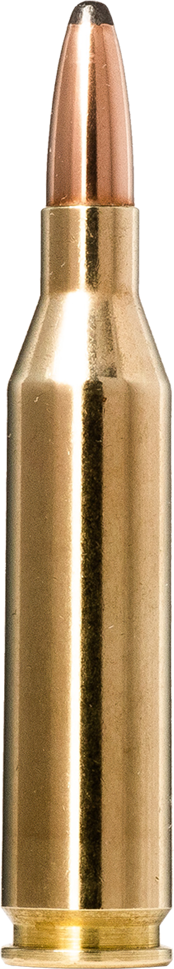 Norma Whitetail .243 Winchester 6.5 g – 20160462 – gyári termékfotó