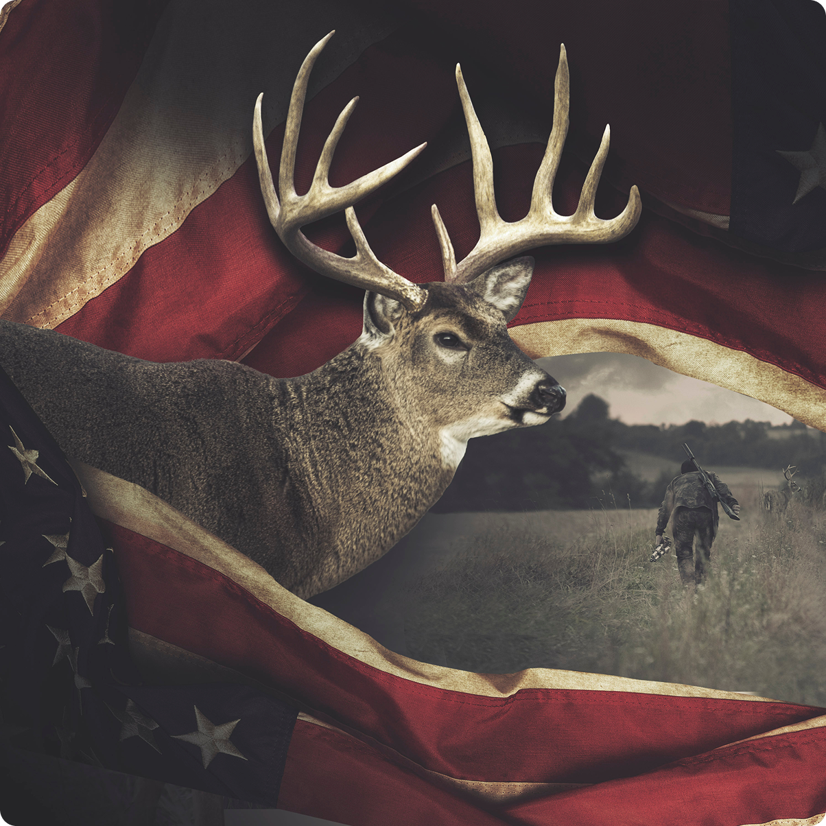 Norma Whitetail – gyári sorozatillusztráció a gyártó honlapjáról