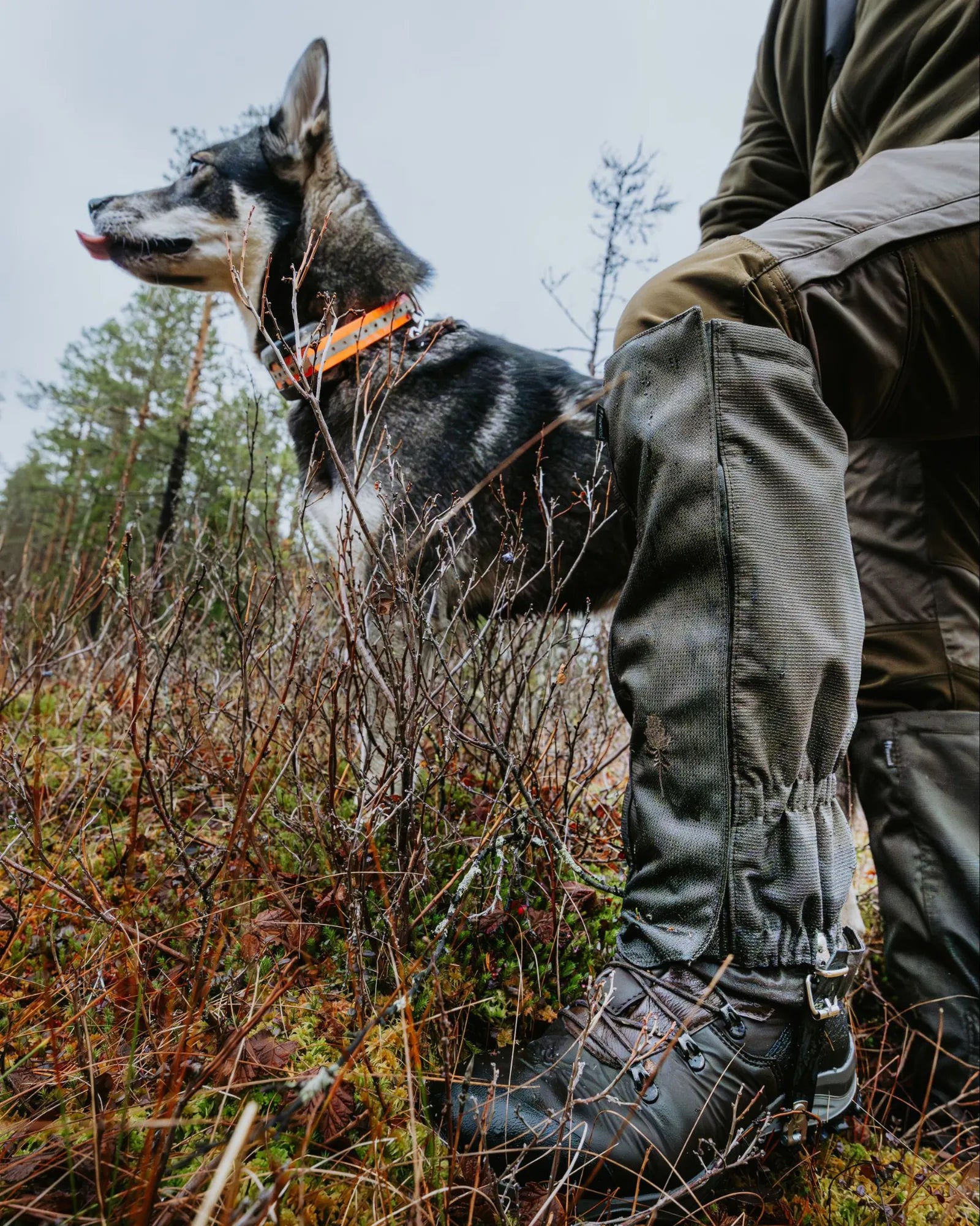 Pinewood® Active 2.0 Gaiters – Moss Green (135) – 1192